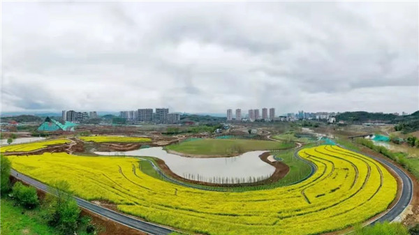 最新！市容环境第三方测评巡查督导结果通报
